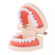 Load image into Gallery viewer, &quot;Aspiring Dentist&quot; Teeth Model - Obsessed Littles